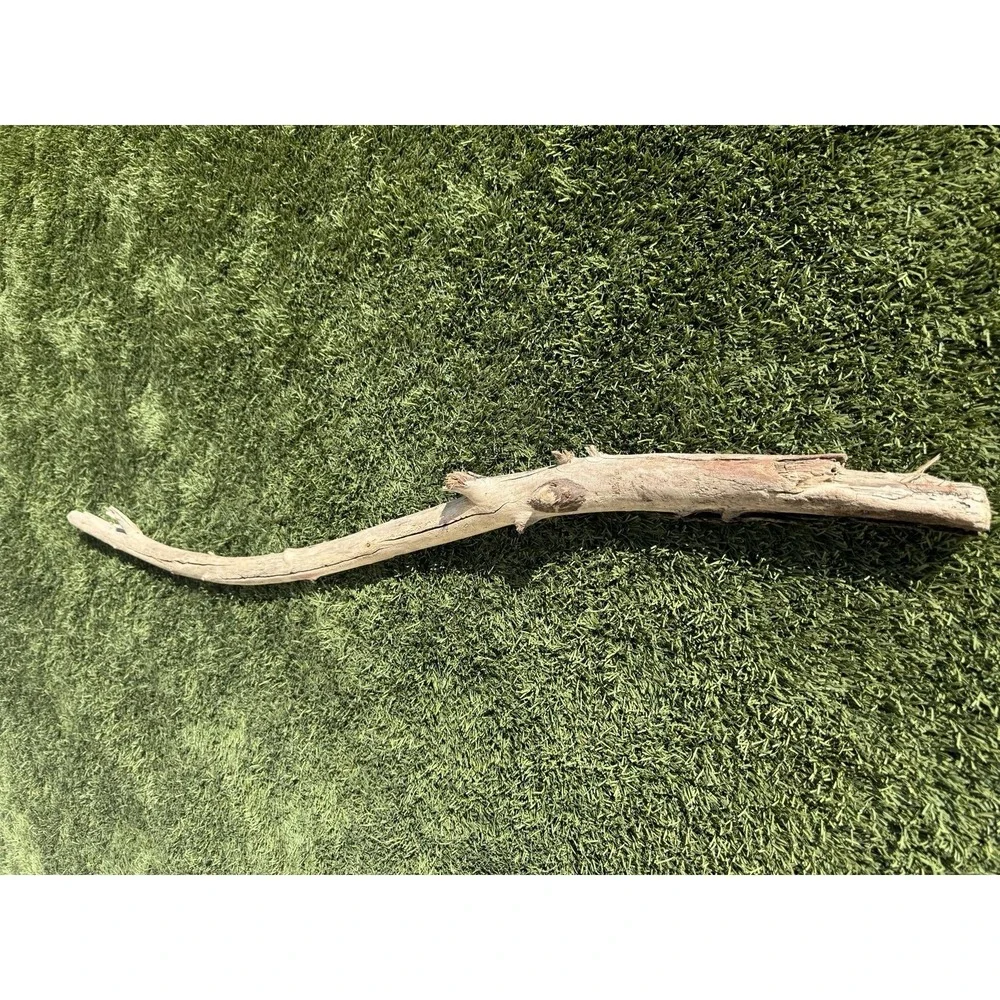 DRIFTWOOD Pacific Ocean California Natural Aquarium Terrarium Use (X-Large) 54
